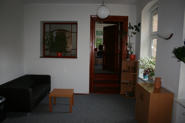 Rezydencja, 448 m2, Szczecin Pogodno (4)