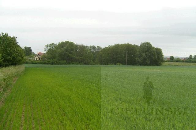 Rolna, 11,100 m2, Siadło Górne  (2)