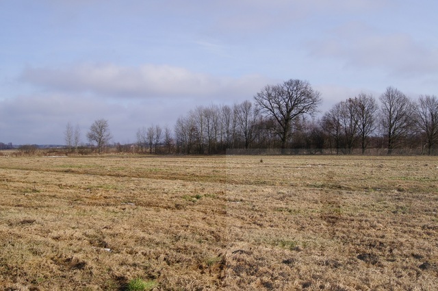 Rolna, 3,000 m2, Jarzębowo  (1)