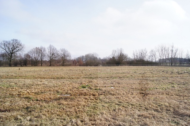 Rolna, 3,000 m2, Jarzębowo  (3)