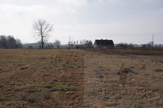 Rolna, 3,000 m2, Jarzębowo  (2)