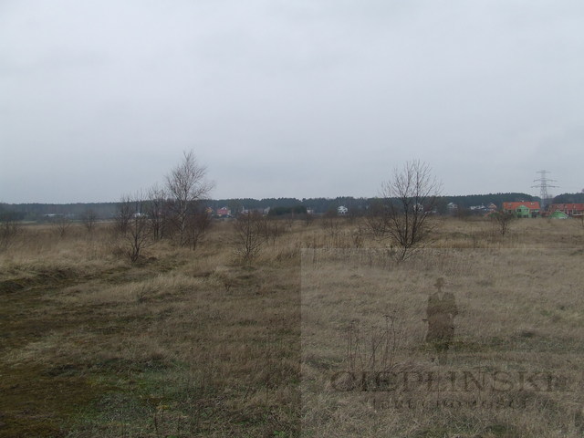 Rolna, 18,500 m2, Wołczkowo  (1)