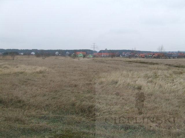 Rolna, 18,500 m2, Wołczkowo  (6)