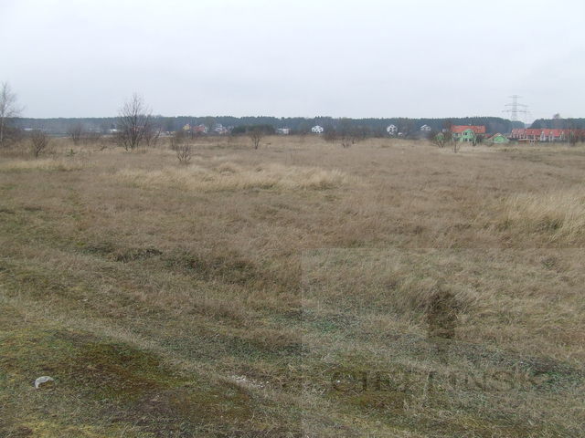 Rolna, 18,500 m2, Wołczkowo  (7)