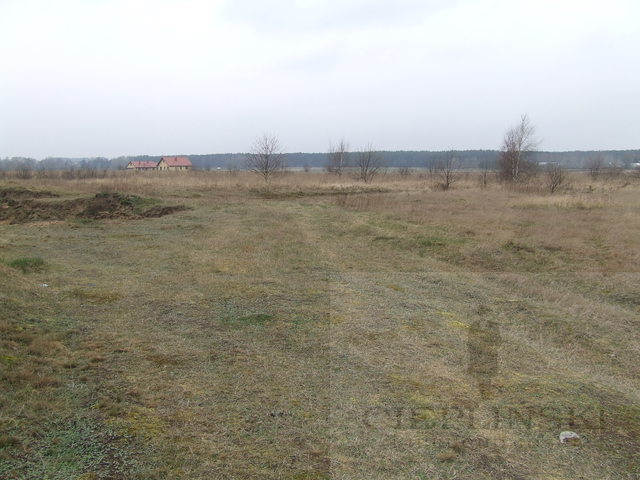 Rolna, 18,500 m2, Wołczkowo  (8)