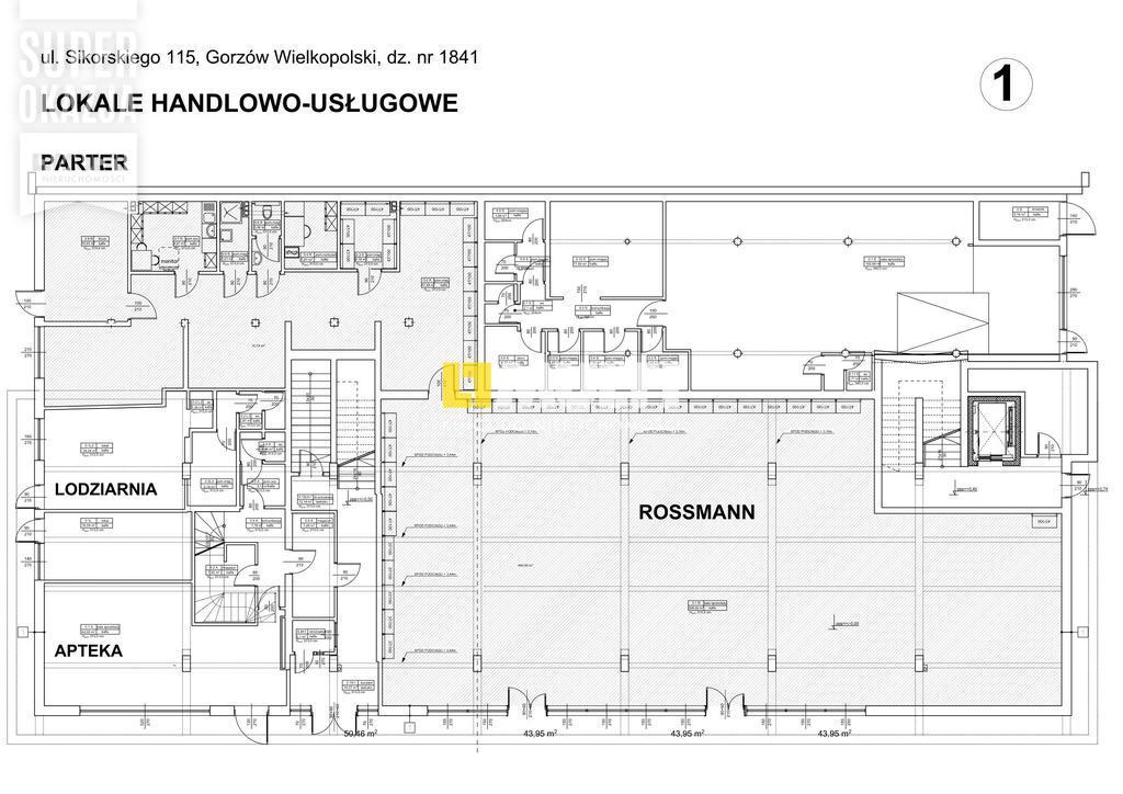 CENTRUM GORZOWA - SUPER INWESTYCJA! (5)