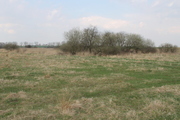 Rolna, 3,000 m2, Barnisław  (7)
