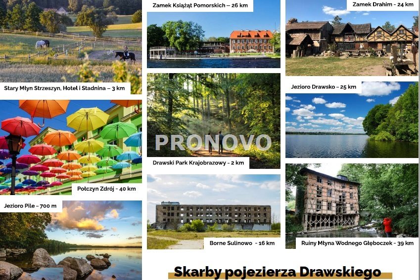 Działka, Piława  (9)