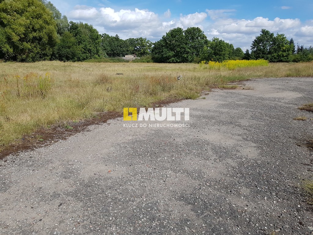 Działka komercyjna 9 ha, Czartoryja (3)