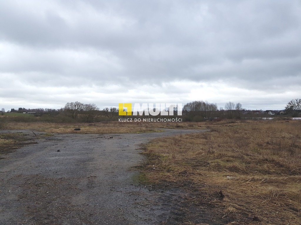 Działka komercyjna 9 ha, Czartoryja (7)