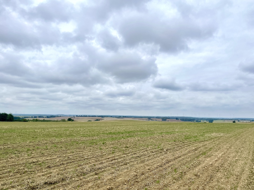 Działka rolna ze stawem w Barnisławiu (2)