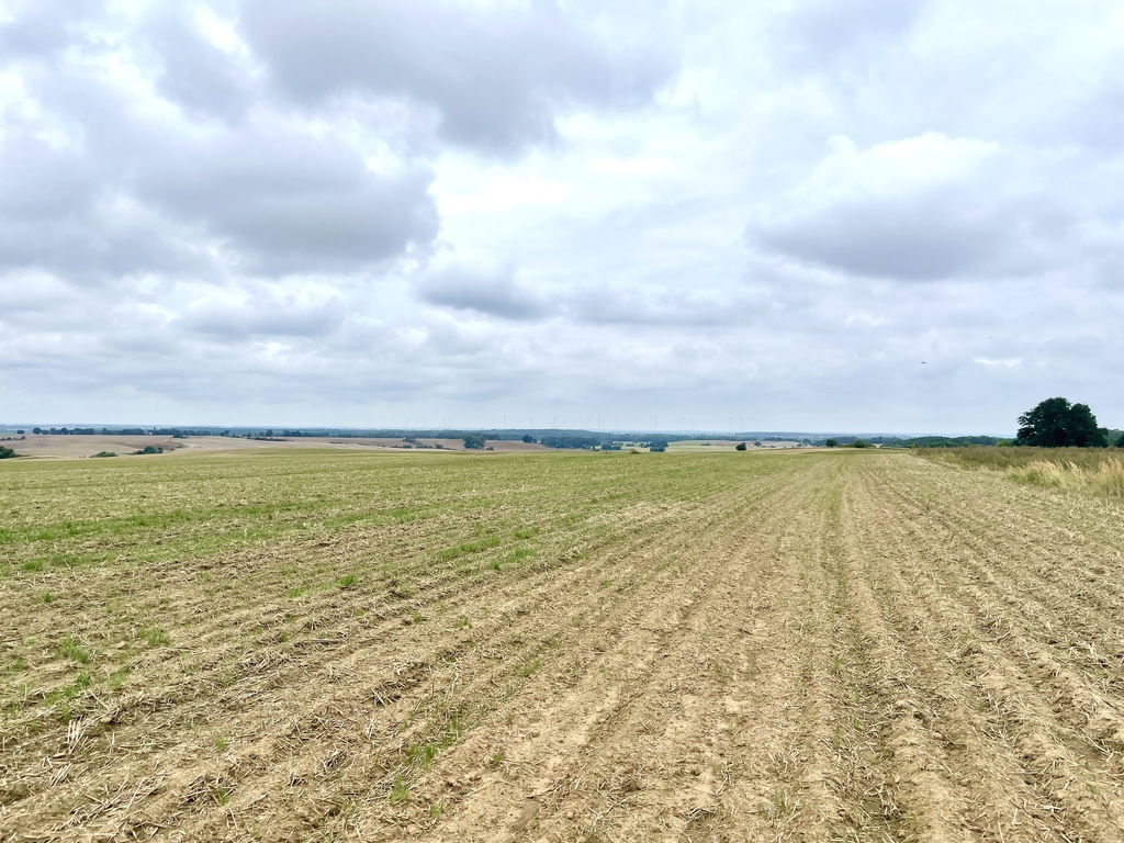 Działka rolna ze stawem w Barnisławiu (7)