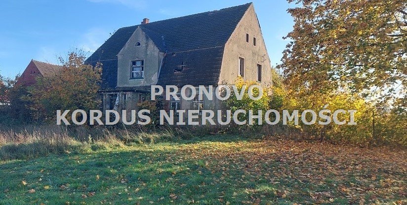 Dom, 440 m2, Żelisławiec  (5)