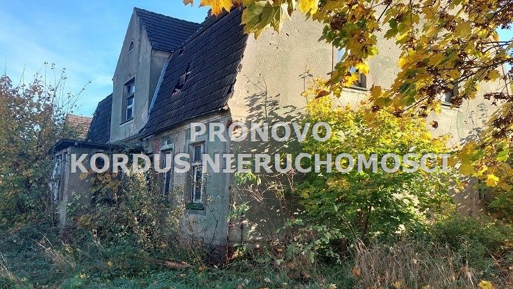 Dom, 440 m2, Żelisławiec  (7)