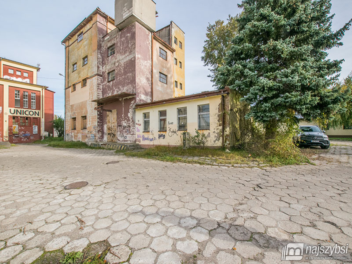 Lokal, 679 m2, Białogard  (1)