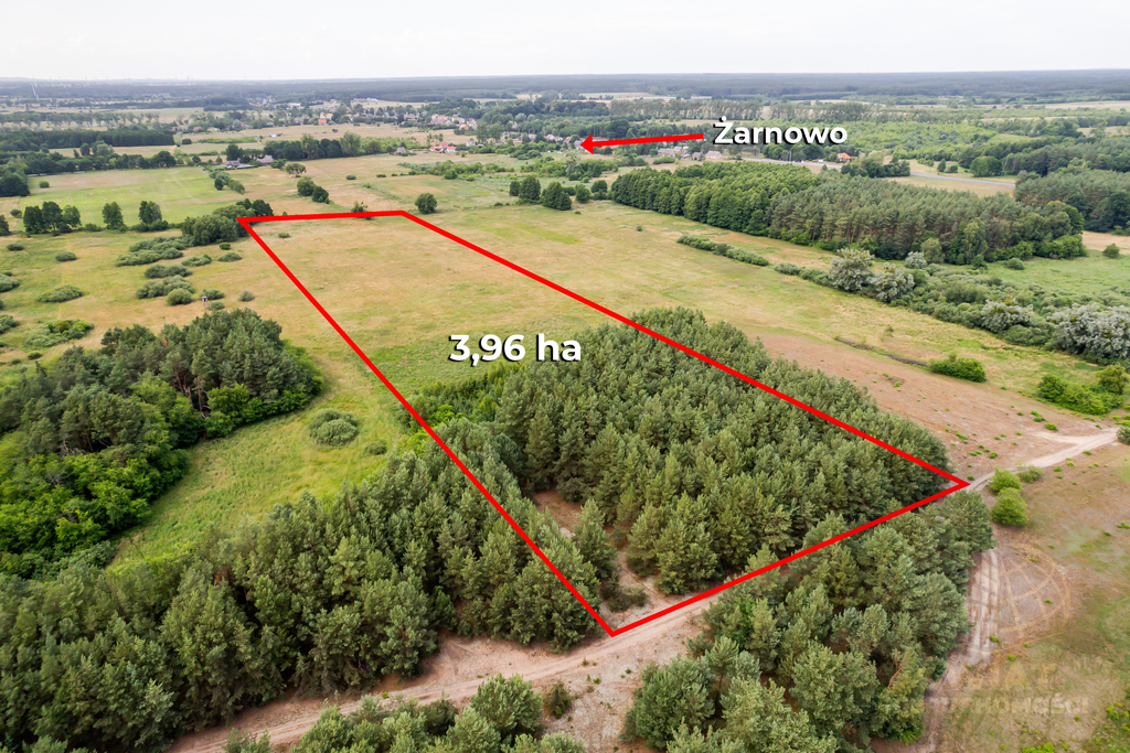 Duża działka rolna 3,96 ha, Żarnówko, gm. Stepnica (3)