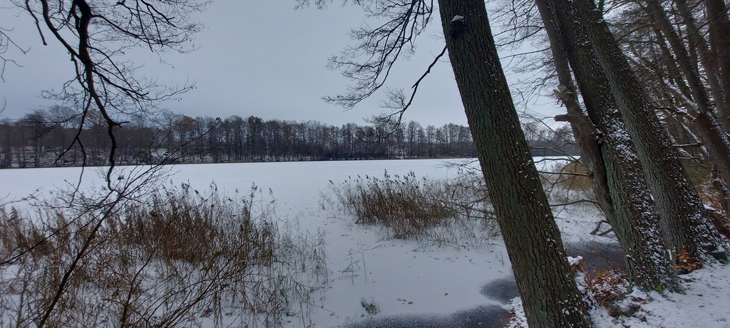 Działka przy Jeziorze Budzieszowskim 1,7 ha (4)