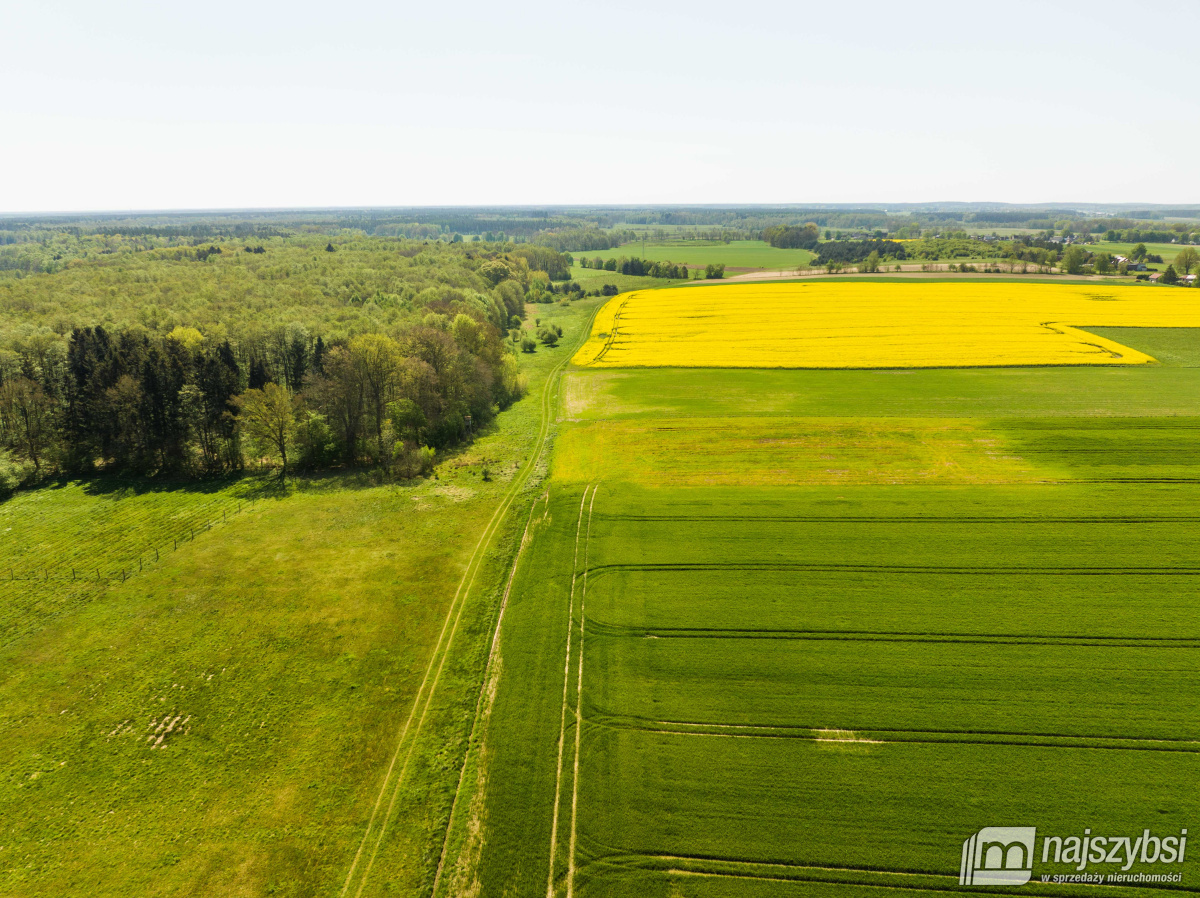 Kartlewo - działka o powierzchni 3270 m2 (10)