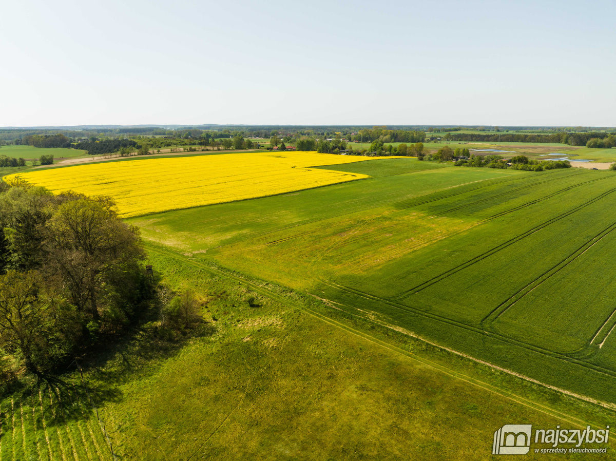 Kartlewo - działka o powierzchni 3270 m2 (11)