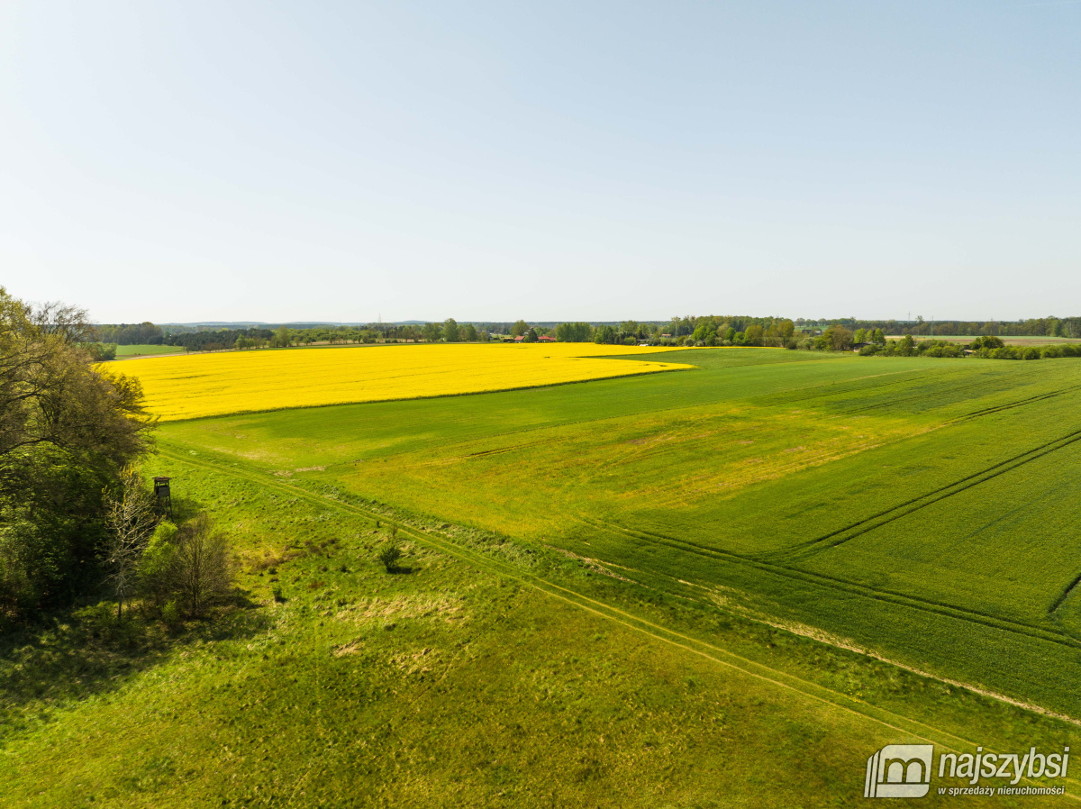 Kartlewo - działka o powierzchni 3270 m2 (12)