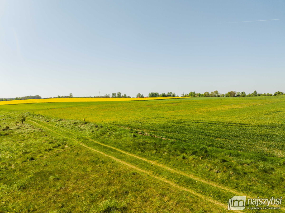Kartlewo - działka o powierzchni 3270 m2 (2)