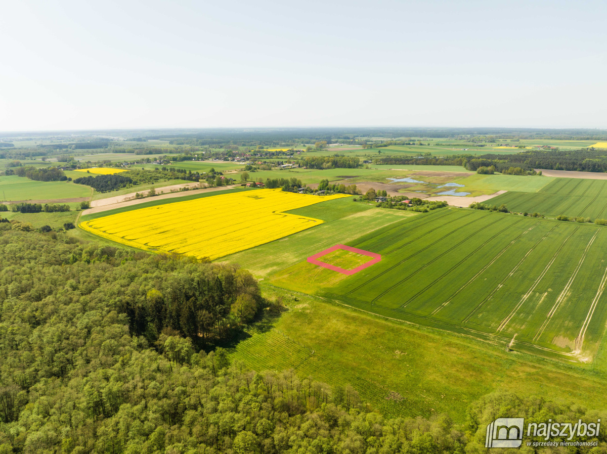 Kartlewo - działka o powierzchni 3270 m2 (3)