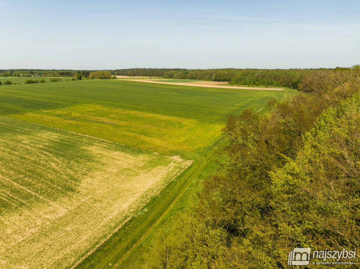 Kartlewo - działka o powierzchni 3270 m2 (4)