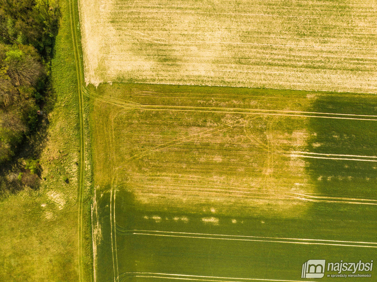 Kartlewo - działka o powierzchni 3270 m2 (5)