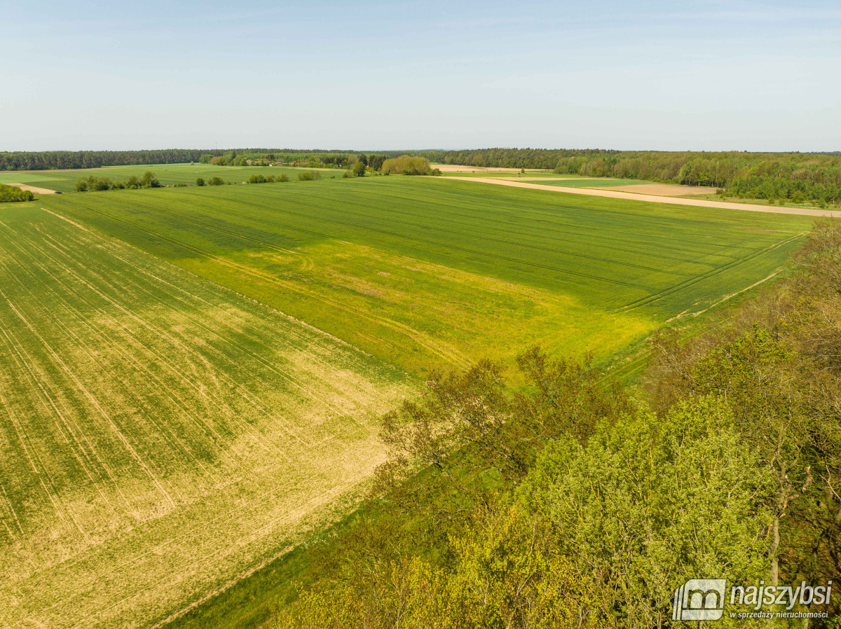 Kartlewo - działka o powierzchni 3270 m2 (6)