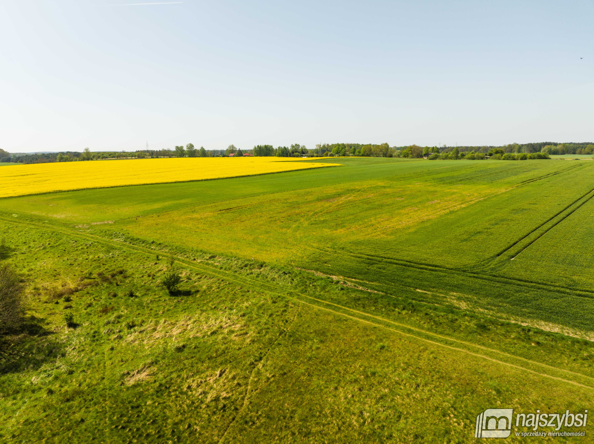 Kartlewo - działka o powierzchni 3270 m2 (7)