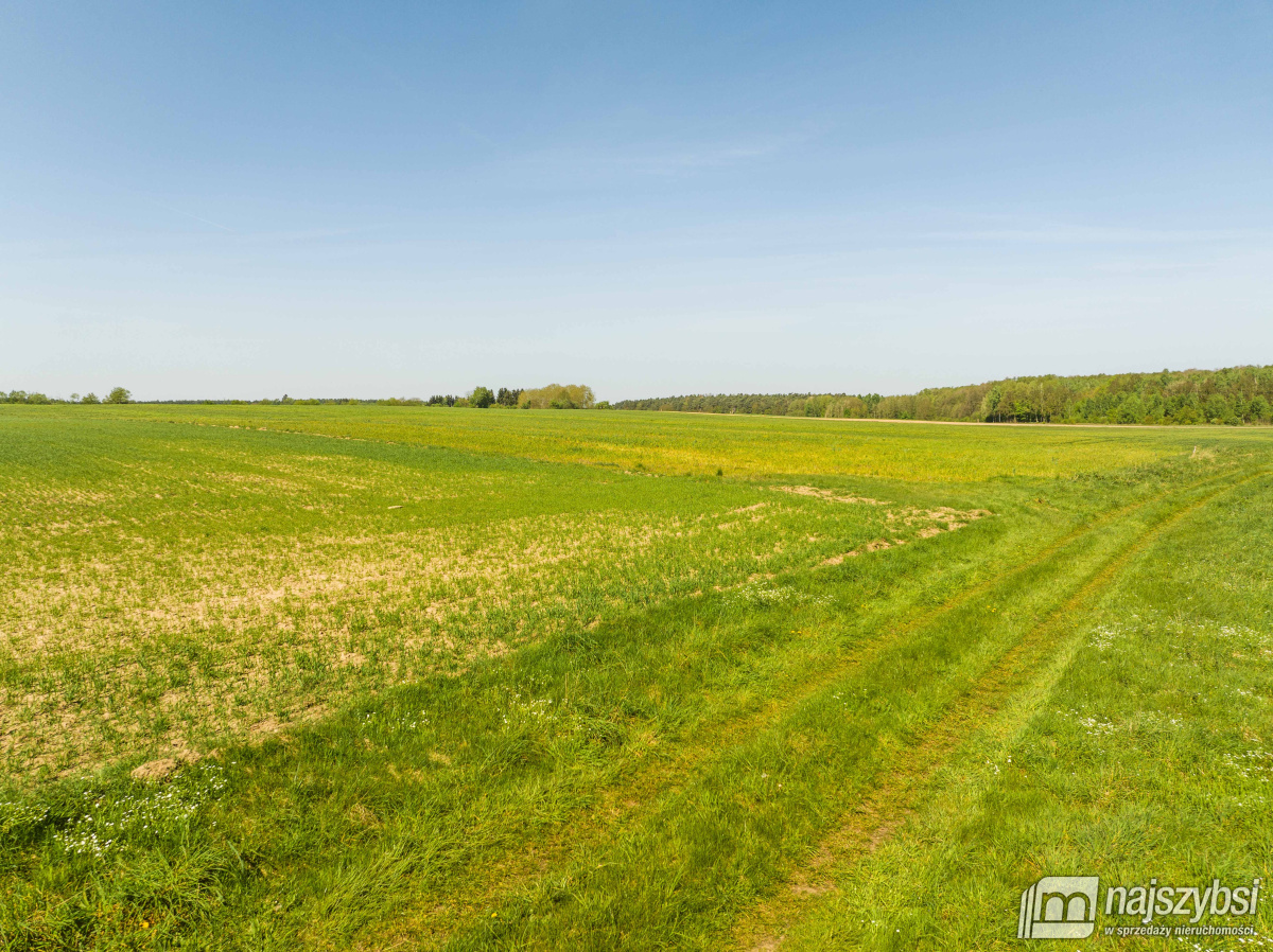 Kartlewo - działka o powierzchni 3270 m2 (8)