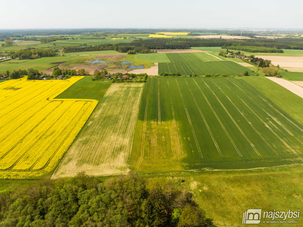 Kartlewo - działka o powierzchni 3270 m2 (9)