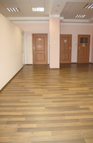 Lokal, 208 m2, 0 piętro, Szczecin Śródmieście-centrum (12)
