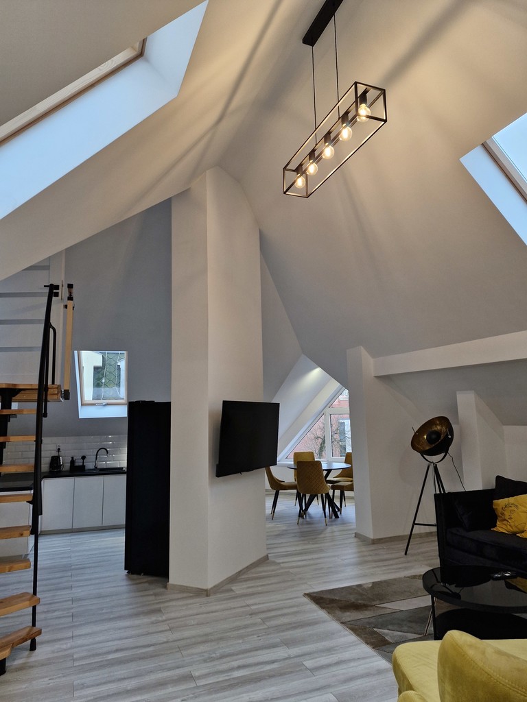 Designerski apartament w stylu loft (5)
