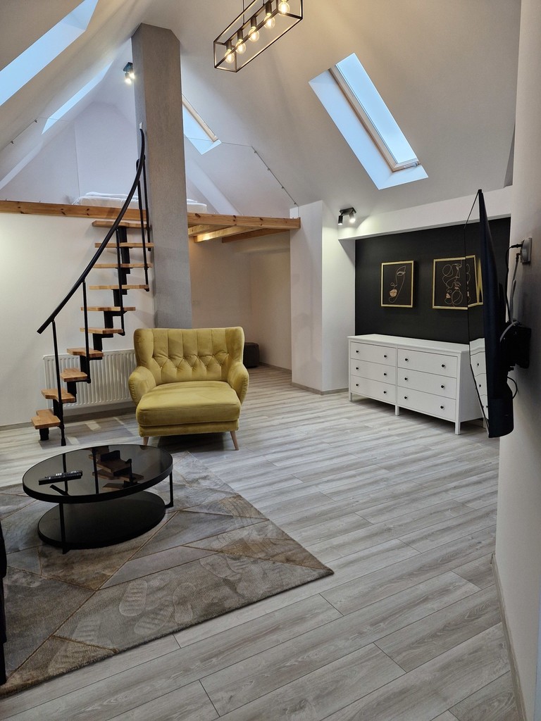 Designerski apartament w stylu loft (8)
