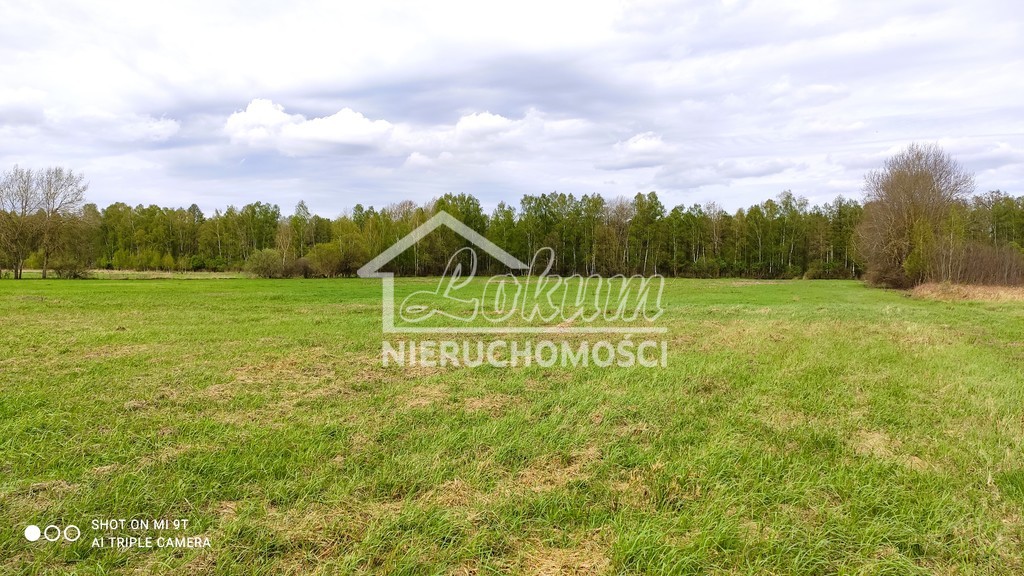 Promocja- do 05.2025 taniej 25% za całosc (5)