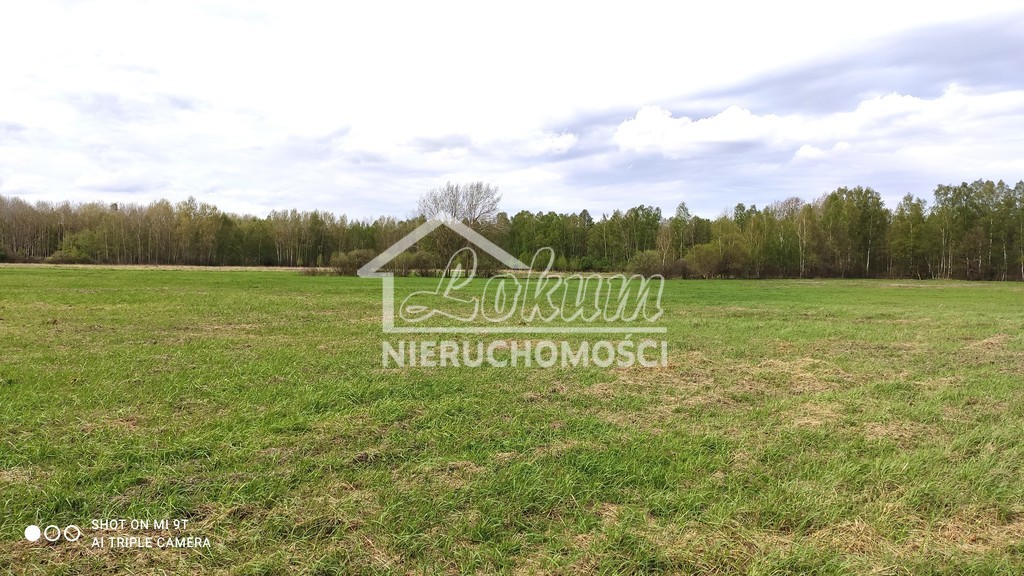 Promocja- do 05.2025 taniej 25% za całosc (6)