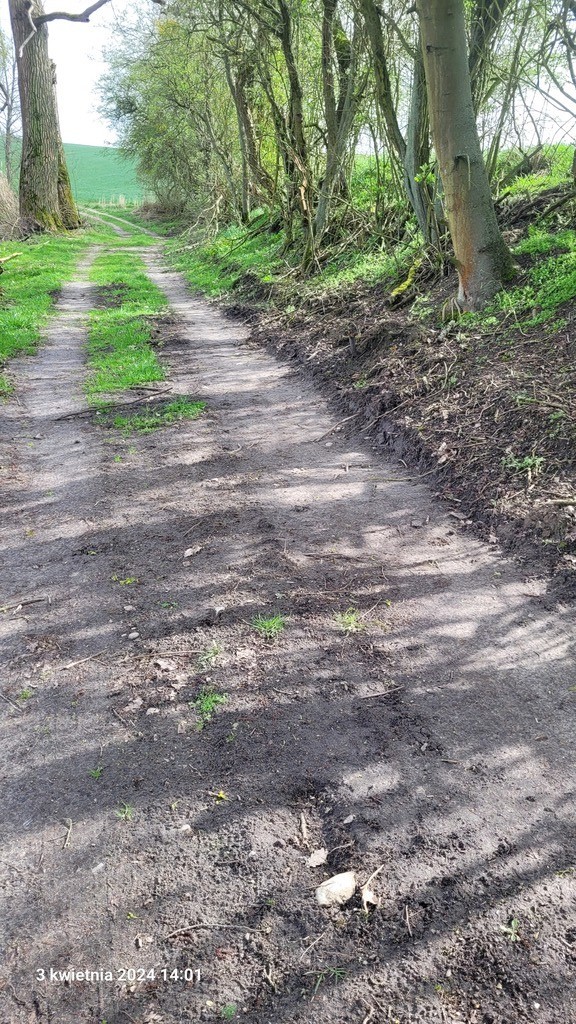 Rolna, 3,031 m2, Zieleniewo  (5)