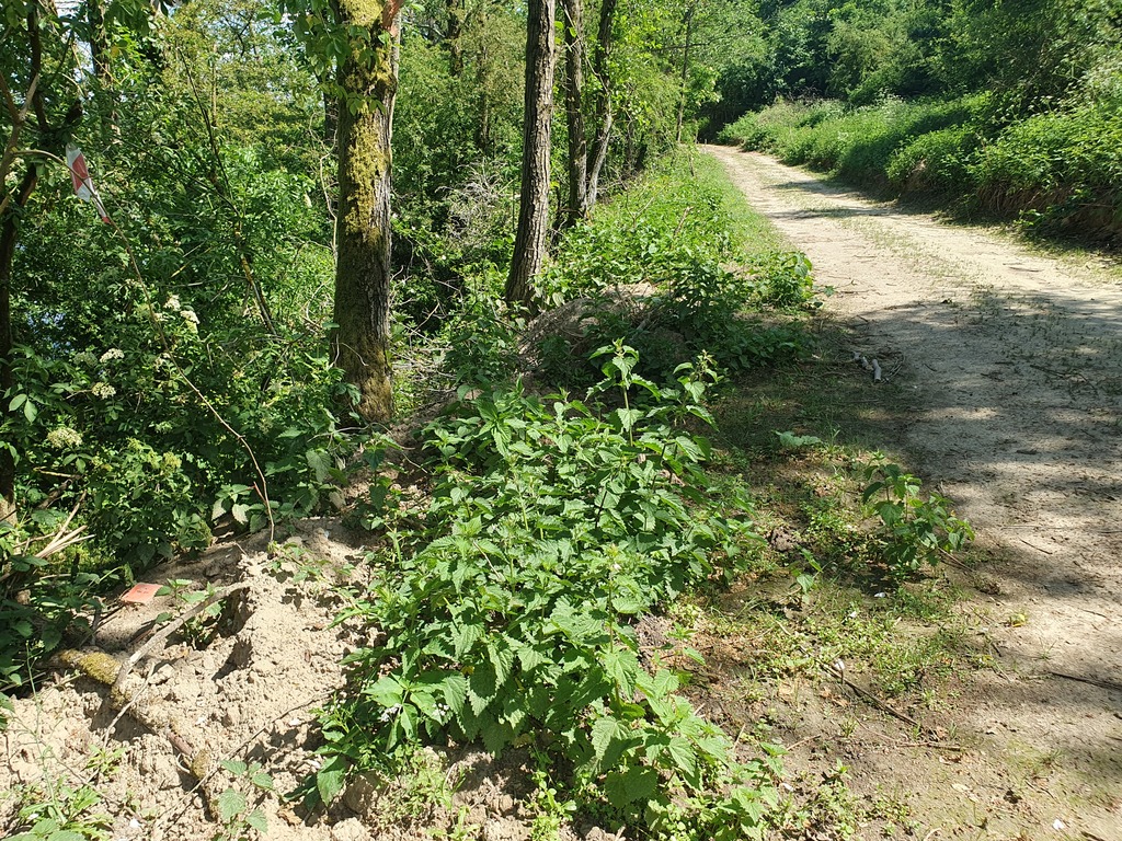 Rolna, 3,030 m2, Zieleniewo  (7)