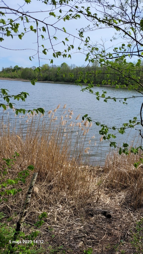 Rolna, 3,030 m2, Zieleniewo  (2)