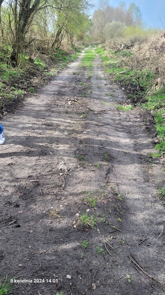 Rolna, 3,030 m2, Zieleniewo  (8)