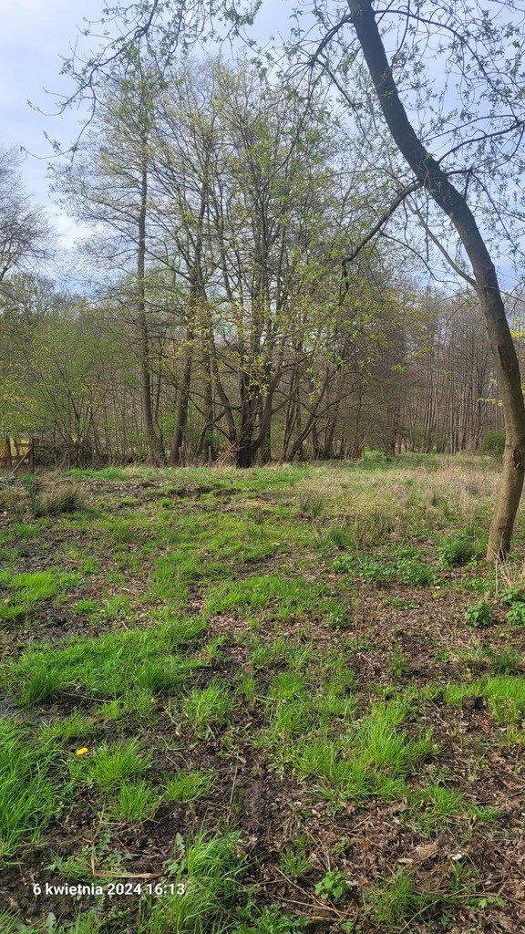 Usługowa, 41,606 m2, Sierakowo  (5)