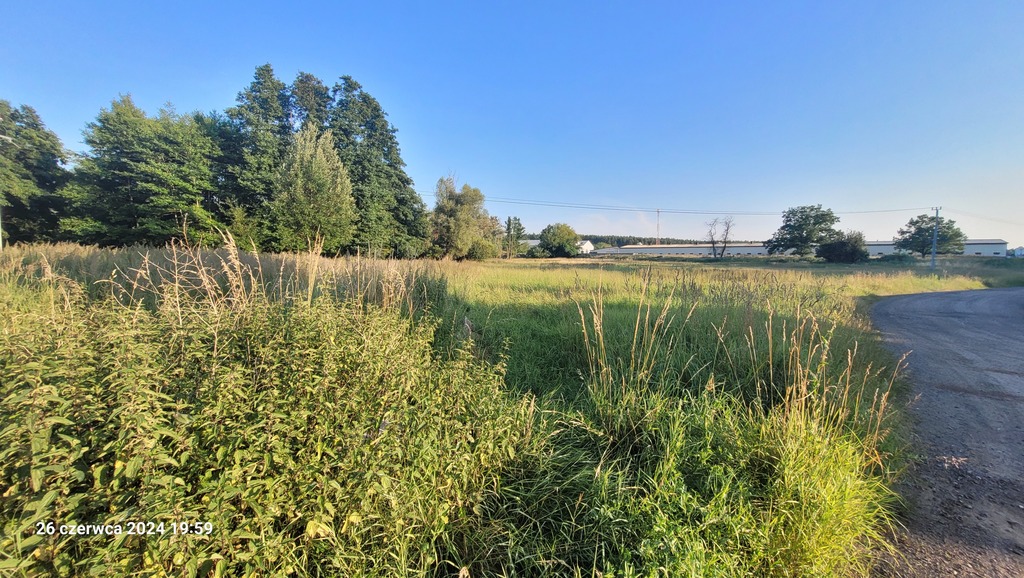 Usługowa, 41,606 m2, Sierakowo  (3)