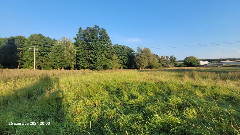 Usługowa, 41,606 m2, Sierakowo  (2)