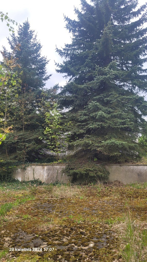 Przemysłowa, 4,868 m2, Recz  (3)