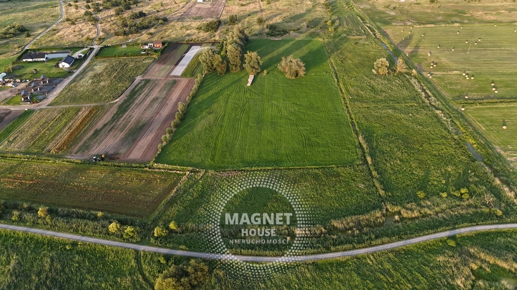 Działki pod zabudowę nad samym jeziorem | Lubczyna (6)