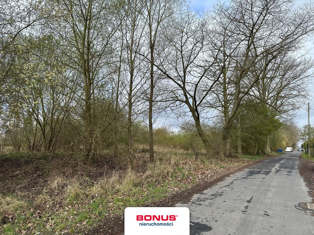 Duża działka pod inwestycję mieszkaniową (2)