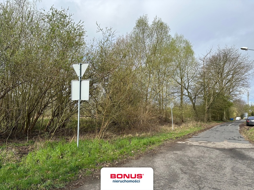 Duża działka pod inwestycję mieszkaniową (3)