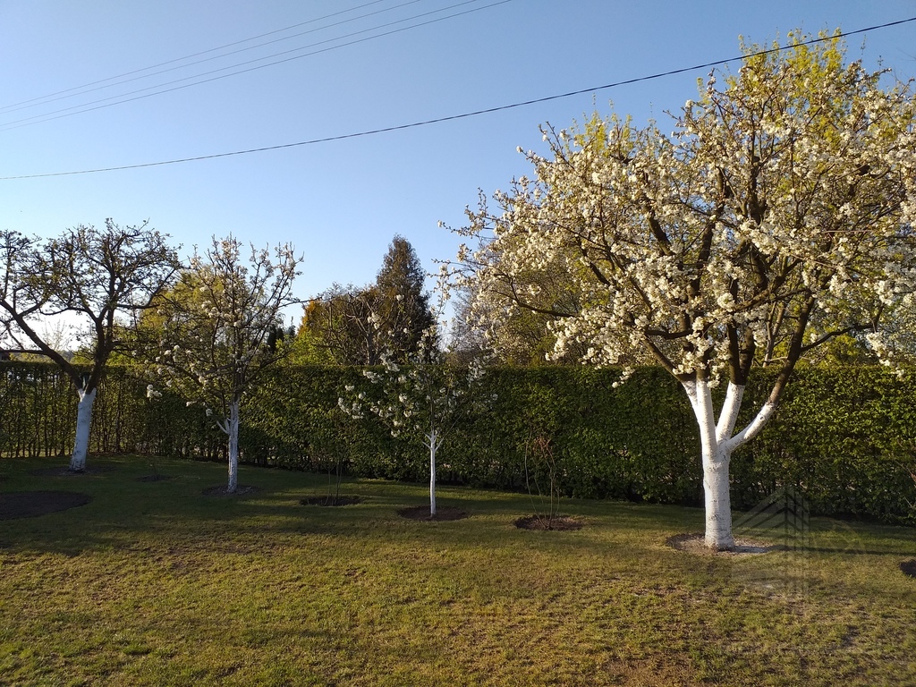 Działka nad jeziorem Marianowskim (7)