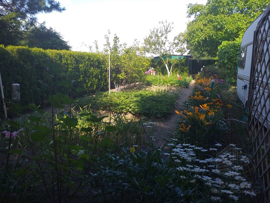 Działka nad jeziorem Marianowskim (11)